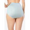 Comfort Choice Plus Size Full Coverage Cotton Brief 10-Pack(Pastel Pack)