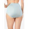 Comfort Choice Plus Size Full Coverage Nylon Brief 10-Pack(Pastel Pack)