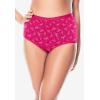 Comfort Choice Plus Size Cotton Brief 5-Pack(Dragonfly Pack)