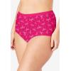 Comfort Choice Plus Size Cotton Brief 5-Pack(Dragonfly Pack)