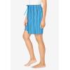 Dreams & Co. Plus Size Woven Sleep Short(Crystal Blue Stripe)