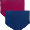 Comfort Choice Plus Size Cotton Spandex Comfort Waist Brief 2-Pack(Fall Pack)