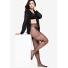 Comfort Choice Women’s Plus Size 2-Pack Sheer Tights(Dark Coffee)
