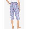 Dreams Women’s Plus Size Sleep Pants(French Blue Floral Stripe)