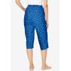 Dreams Women’s Plus Size Sleep Pants(French Blue Floral Stripe)