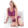 Comfort Choice Plus Size Full Coverage Stretch Cotton Color Block Brief 3-Pack(Pastel Assorted)