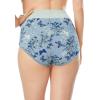 Comfort Choice Plus Size Full Coverage Stretch Cotton Color Block Brief 3-Pack(Ultra Blue Assorted)